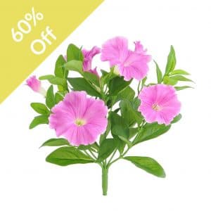 Plants Flowering Petunia Bush Lav 23cm