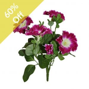 Plants Flowering Petunia M Fuchsia 26cm