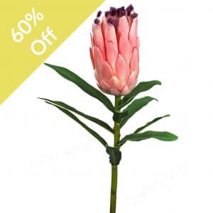 SF Protea Bud IA Pink 72cm