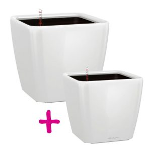 LECHUZA QUADRO LS 28 Cream White High-Gloss H26 L28 W28 cm + LECHUZA QUADRO LS 35 Cream White High-gloss H33 L35 W35 cm Self Watering Planters Indoor/Outdoor Flower Plant Pots with Drainage Hole and Plant Substrate Poly-Resin