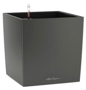 LECHUZA CUBE 40 Charcoal Poly Resin Floor Self-watering Planter with Substrate H40 L40 W40 cm, 64 ltrs Cap.