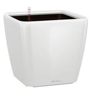 LECHUZA QUADRO LS 21 Cream White High-Gloss Poly Resin Table Self-watering Planter with Substrate H20 L21 W21 cm, 9 ltrs Cap.
