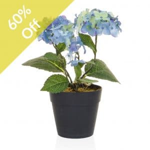 8"Blue Mini Hydrangea Bush 20cm