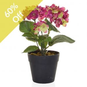 8"Hot Pink Mini Hydrangea Bush 20cm