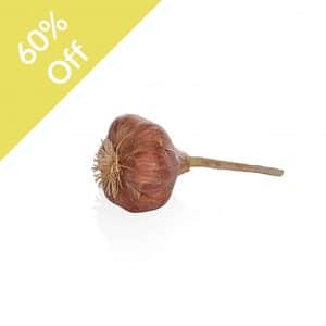 Fruit/Veg Garlic (24)