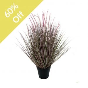 YMS-Grass Dogtail 99cm