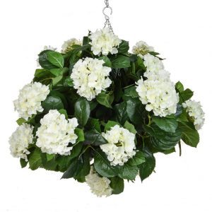 HB Hydrangea White Ball 50cm
