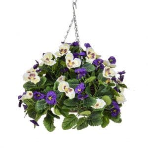 HB-Pansy Ball Purple White 25cm