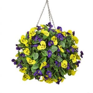 HB Pansy Medium Ball Purple Yellow 30cm