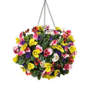 HB Pansy Medium Ball Six Colours 30cm