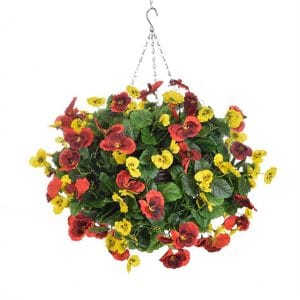 HB Pansy Medium Ball Red Yellow 30cm