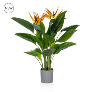 PP Bird of Paradise in Grey Pot 80cm