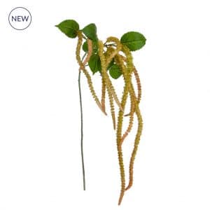 I & T Amaranthus JA 130cm
