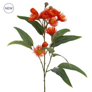 Foliage Eucalyptus Flowering Red GB 75cm