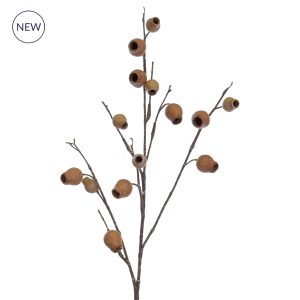 Foliage Eucalyptus Pods Brown GB 85cm