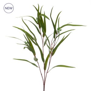 Foliage Eucalyptus Nicholii Spray GB 82cm