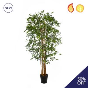 NTT Bamboo 210cm FR UV-S6