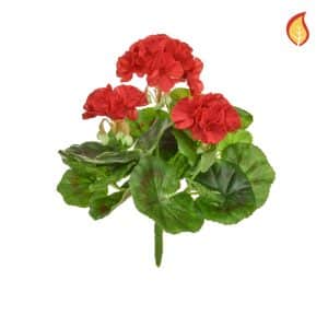 Plants Flowering Geranium  Red 23cm FR-S1