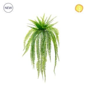 Plants Boston Fern 65cm UV