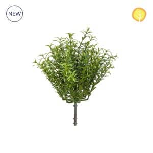 Plants Rosemary 25cm UV S13