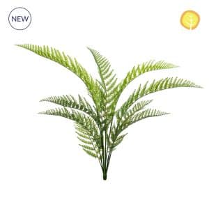 Plants Woodwardia Fern 82cm UV S13