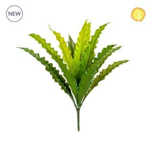 Plants Birds Nest Fern 45cm UV S13