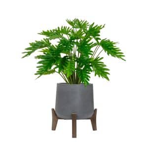 AN Philodendron in Hanover Pot 85cm