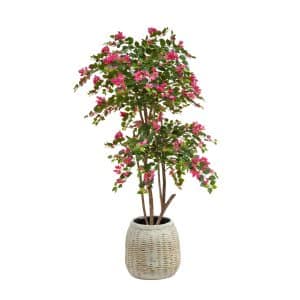 AN Bougainvillea Pink in Bamboo Pot 185cm